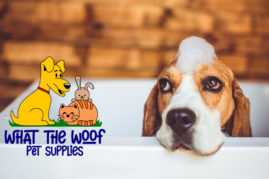 What the Woof Sicamous
