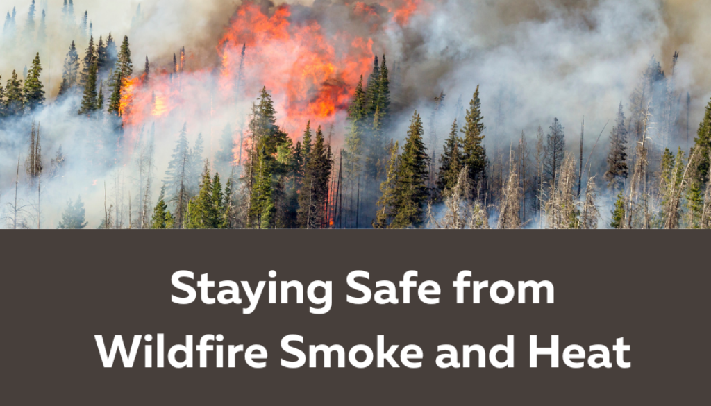 Sicamous Safety with Fires