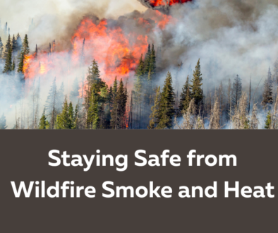 Sicamous Safety with Fires