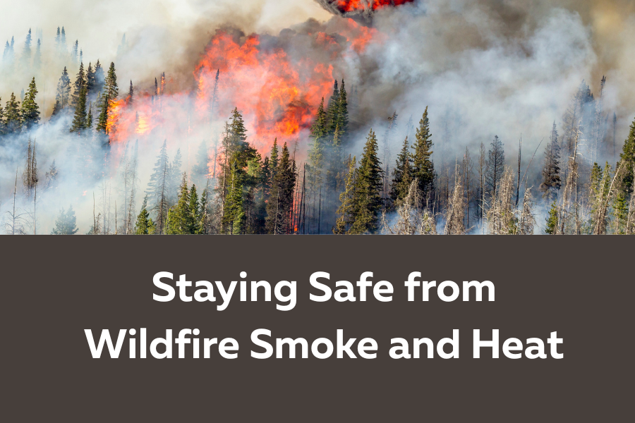 Sicamous Safety with Fires
