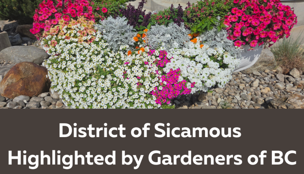 DOS Sicamous Flowers