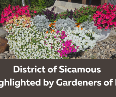 DOS Sicamous Flowers