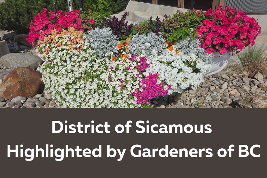 DOS Sicamous Flowers
