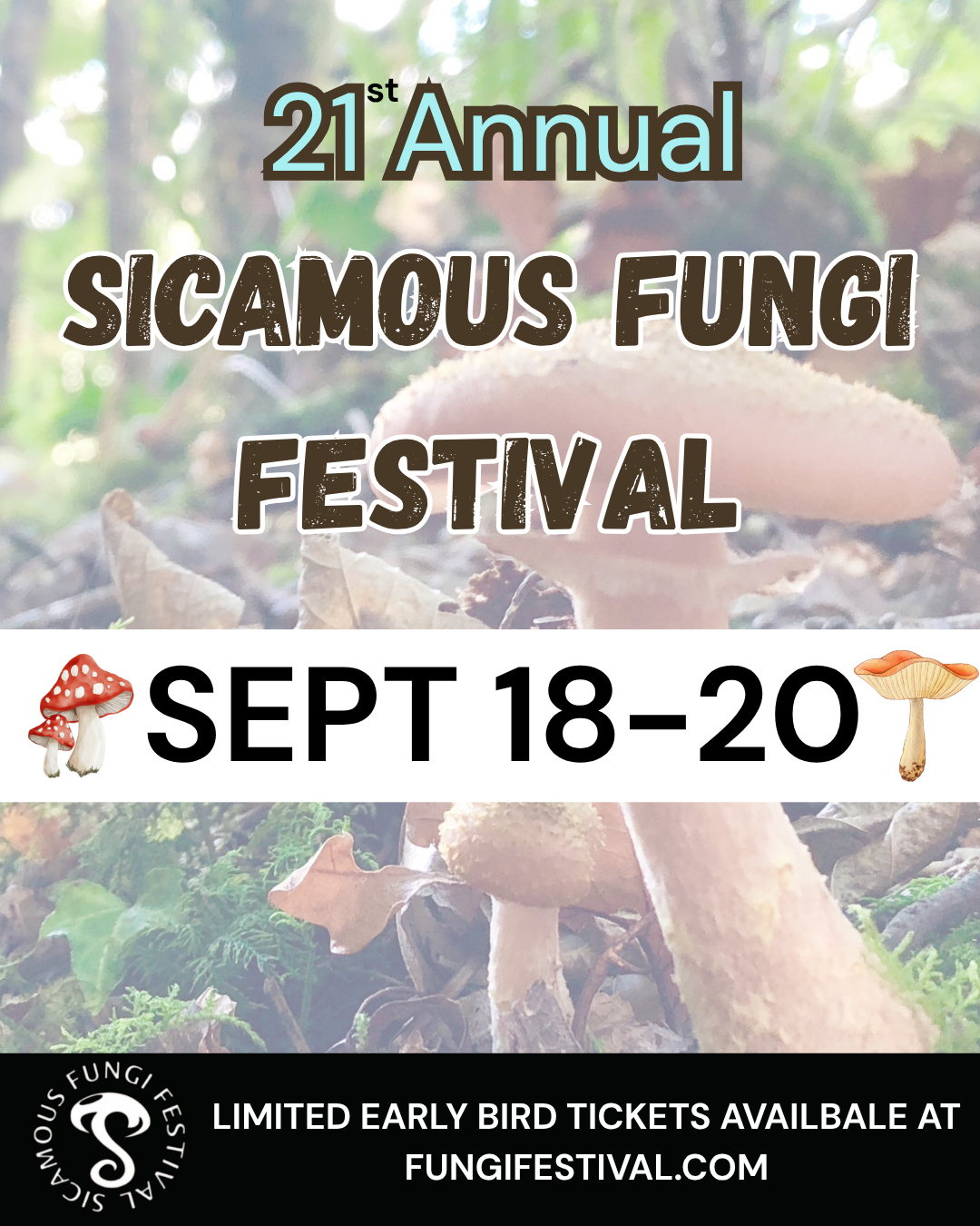 Sicamous Fungi Festival