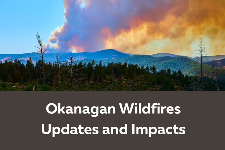Wildfires Updates Sicamous